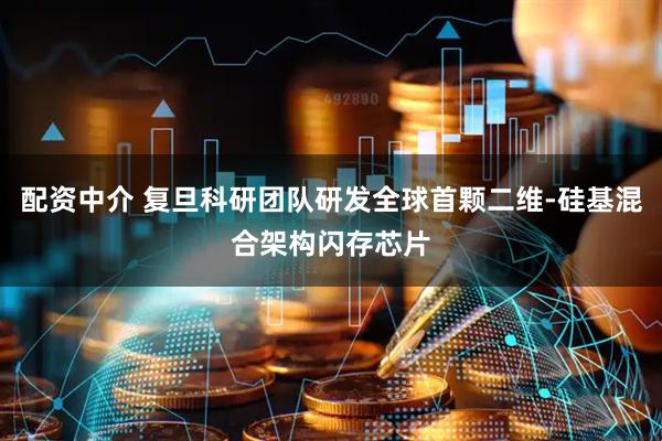 配资中介 复旦科研团队研发全球首颗二维-硅基混合架构闪存芯片